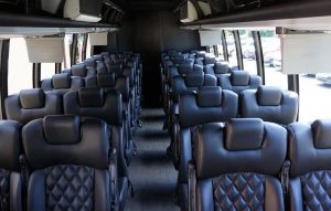 Mini Coach, Shuttle Bus, Chicago, Sprinter Van Chicago, Sprinter Limo, Bus Service, Executive Bus Sprinter, Corporate Car Service